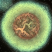 Biofilms
