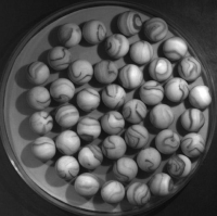 marbles