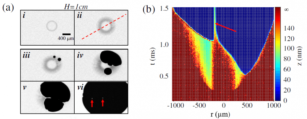 Liquid Droplet Impact 2